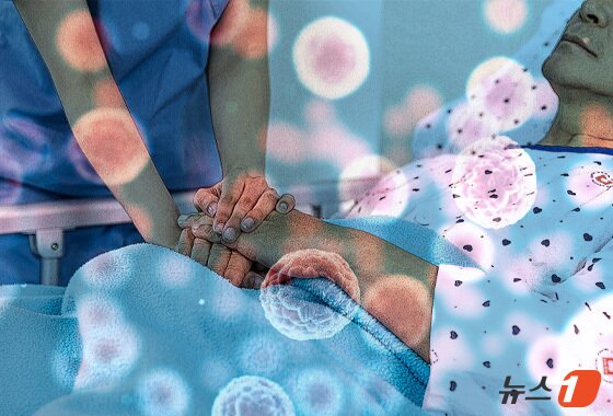 본문 이미지 - 최초 재발 시점부터 이전 치료 반응과 재발 시기, 환자 전신 상태를 종합해 치료 전략을 세우는 게 중요하다. 최근에는 환자 자기 면역세포를 활용한 키메릭 항원 수용체 T세포(CAR-T·카티) 치료가 등장하며 주목받고 있다. ⓒ 뉴스1 양혜림 디자이너