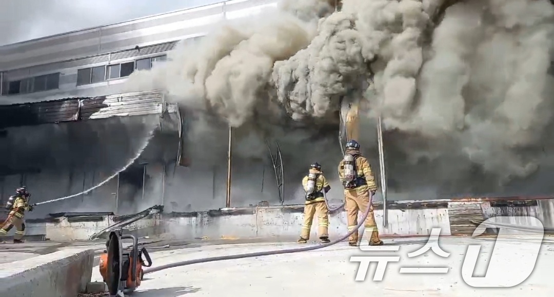 (광주=뉴스1) 이수민 기자 = 12일 오전 8시 25분쯤 전남 완도군 군외면 원동리의 한 냉동창고에서 불이 나 소방당국이 진화작업을 벌이고 있다. (전남소방본부 제공. 재판매 및 …