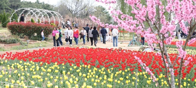 [오늘의 날씨] 광주·전남(13일, 월)…일교차 크고 남해안 비