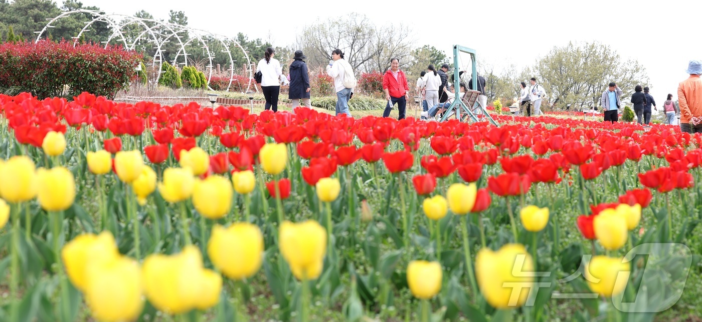 (익산=뉴스1) 유경석 기자 = 포근한 봄 날씨를 보인 12일 전북 익산시 신흥공원을 찾은 나들이객들이 만개한 튤립을 따라 거닐며 봄 정취를 만끽하고 있다. 2026.4.12/뉴스 …