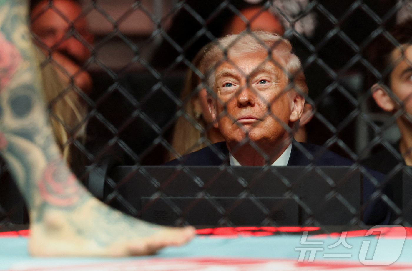 (마이애미 로이터=뉴스1) 윤다정 기자 = 도널드 트럼프 미국 대통령이 11일(현지시간) 미국 플로리다 마이애미 카세야 센터에서 열린 UFC 327 행사에서 경기를 관람하고 있다. …