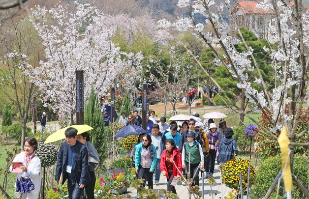 옥정호 벚꽃축제 즐기는 관광객들