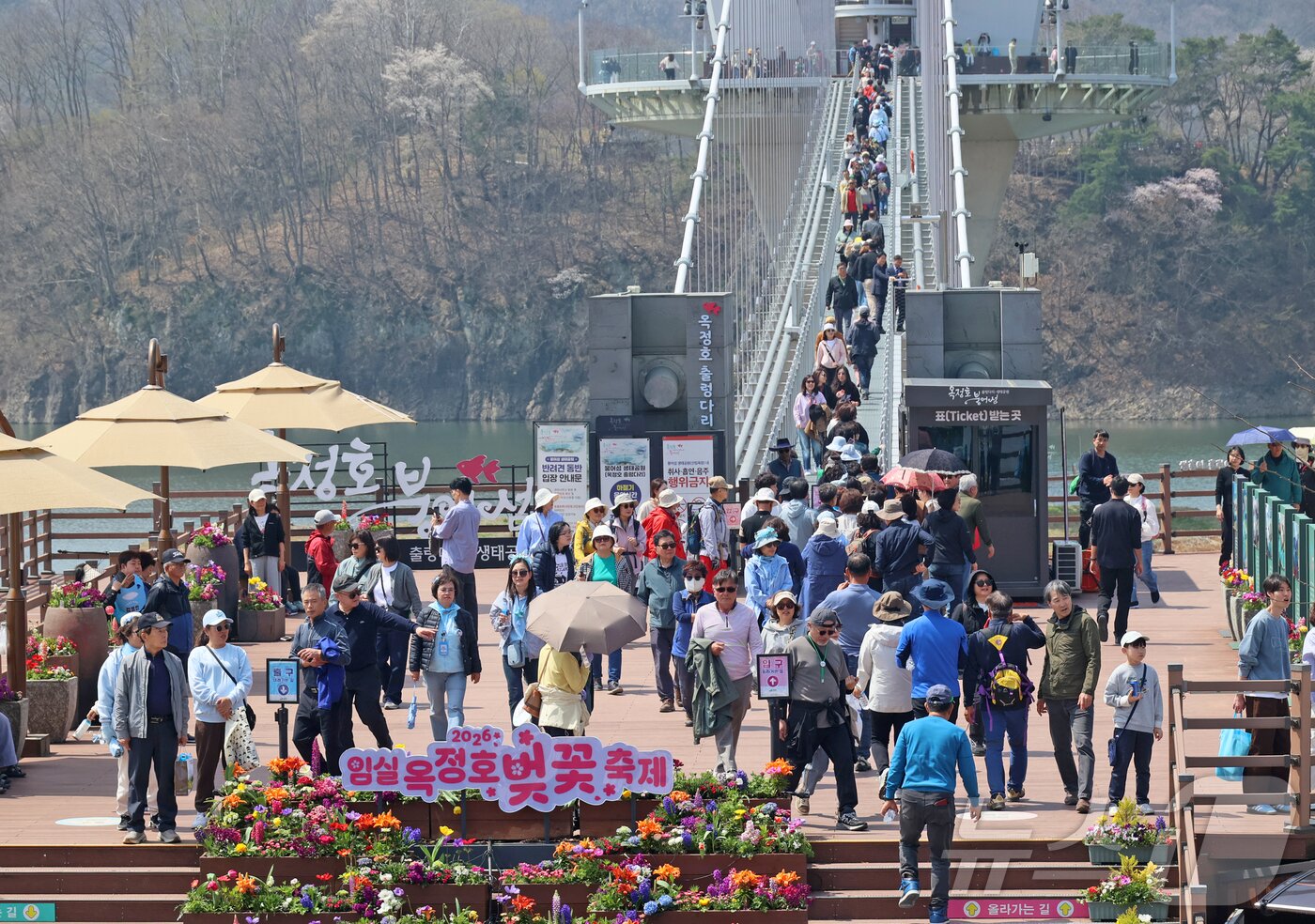본문 이미지 - 12일 전북 임실군 운암면 옥정호에서 열린 '2026옥정호 벚꽃축제'가 열리고 있는 가운데 관광객들이 붕어섬에 입장하기 위해 출렁다리를 건너고 있다.(임실군제공, 재판매 및 DB금지)2026.4.12 ⓒ 뉴스1 김동규 기자