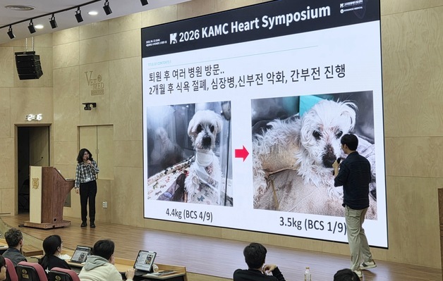 "주차장에서 5박 6일"…반려견 지킨 보호자, 심장 심포지엄 울렸다