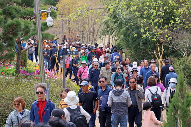 임실 붕어섬 찾은 관광객들
