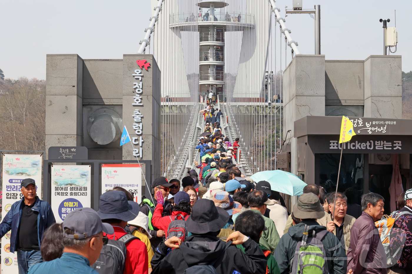 (임실=뉴스1) 유경석 기자 = '옥정호 벚꽃축제'가 열리고 있는 12일 전북 임실군 옥정호 붕어섬에 벚꽃과 수선화등 봄꽃이 활짝핀 가운데 출렁다리를 건너가려는 관광객들로 붐비고 …