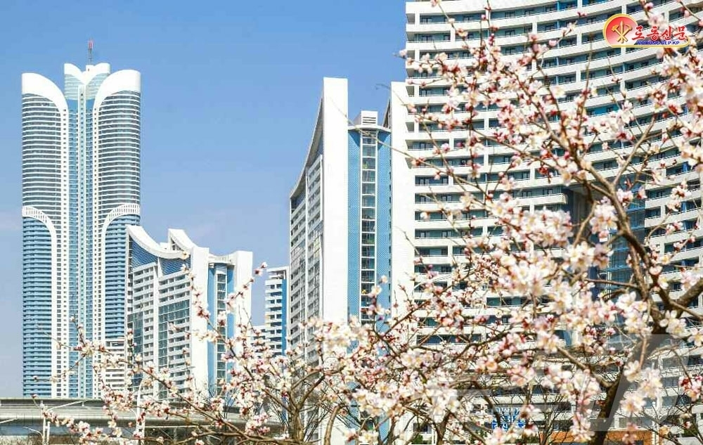 (평양 노동신문=뉴스1) = 북한 노동당 기관지 노동신문은 13일 '수도 곳곳에 넘치는 봄향기'라는 제목의 기사를 통해 평양 시내 봄 풍경을 보도했다.[국내에서만 사용가능. 재배포 …
