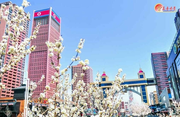 北, 당 '인민대중제일주의' 선전…여자축구 4강 진출[데일리 북한]