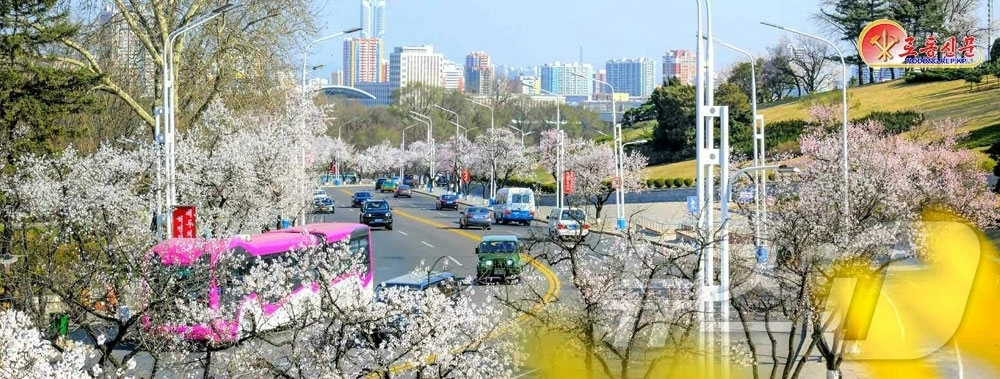 (평양 노동신문=뉴스1) = 북한 노동당 기관지 노동신문은 13일 '수도 곳곳에 넘치는 봄향기'라는 제목의 기사를 통해 평양 시내 봄 풍경을 보도했다.[국내에서만 사용가능. 재배포 …