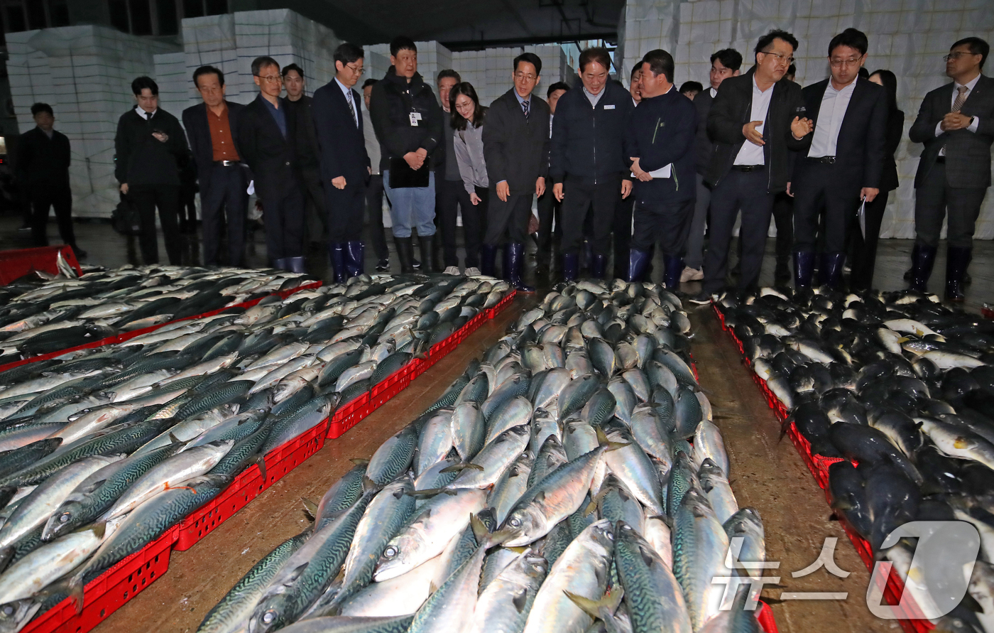 (부산=뉴스1) 윤일지 기자 = 황종우 해양수산부 장관이 13일 오전 부산 서구 부산공동어시장을 찾아 위판 현장을 시찰하고 있다.  2026.4.13/뉴스1