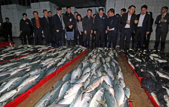황종우 해수부 장관, 부산공동어시장 위판 현장 시찰
