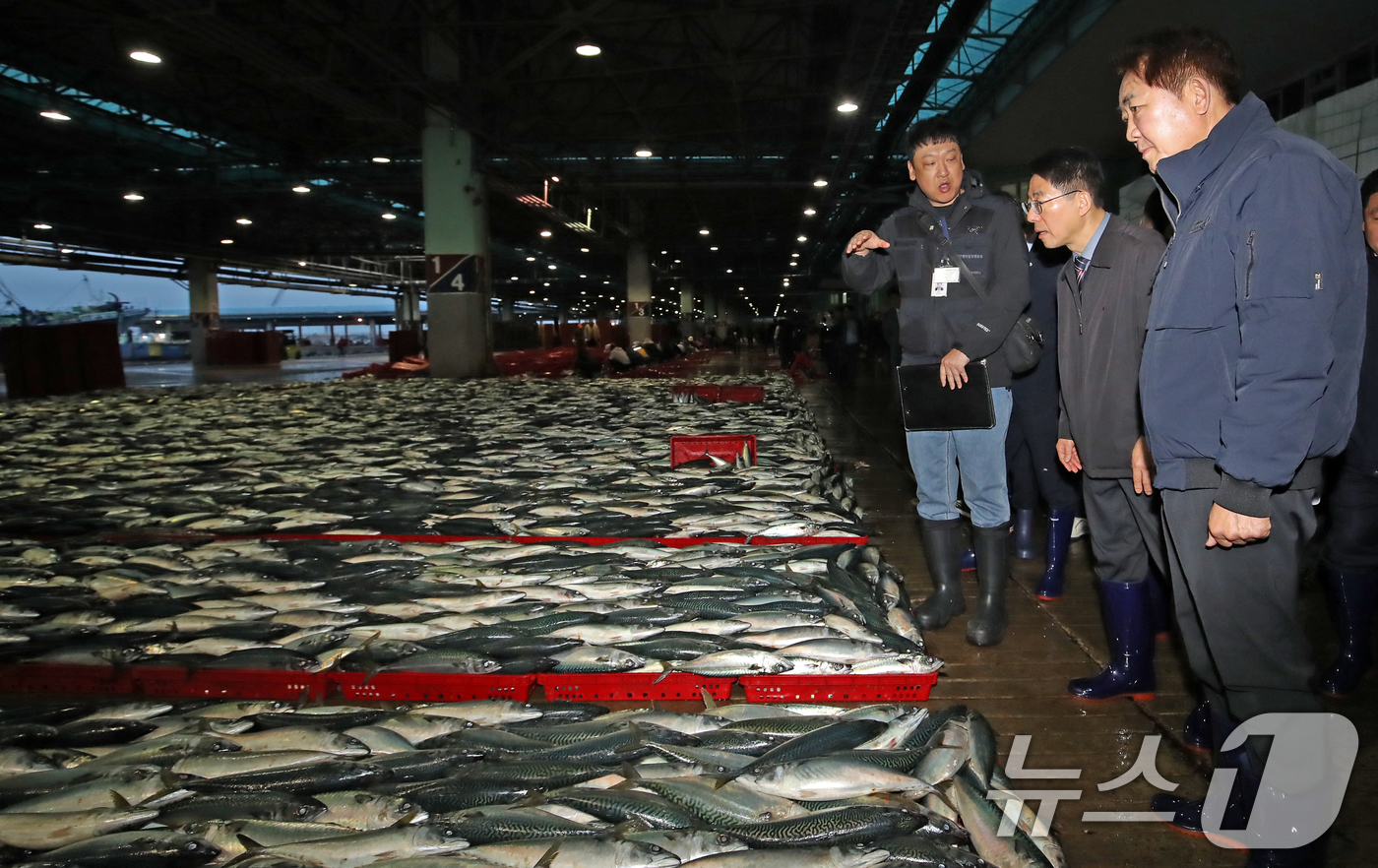 (부산=뉴스1) 윤일지 기자 = 황종우 해양수산부 장관이 13일 오전 부산 서구 부산공동어시장을 찾아 위판 현장을 시찰하고 있다.  2026.4.13/뉴스1