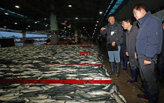 황종우 해수부 장관, 부산공동어시장 위판 현장 시찰