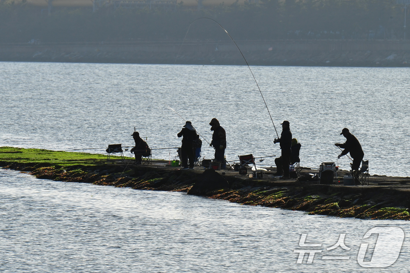 (포항=뉴스1) 최창호 기자 = 13일 경북 포항시 송도해수욕장 방파제에서 강태공들이 아침 햇살 속에서 낚시를 하고 있다. 2026.4.13/뉴스1