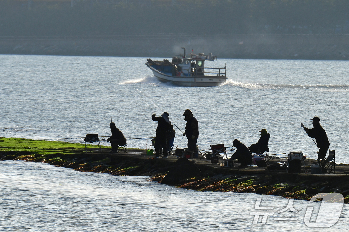 (포항=뉴스1) 최창호 기자 = 13일 경북 포항시 송도해수욕장 방파제에서 강태공들이 아침 햇살 속에서 낚시를 하고 있다. 2026.4.13/뉴스1