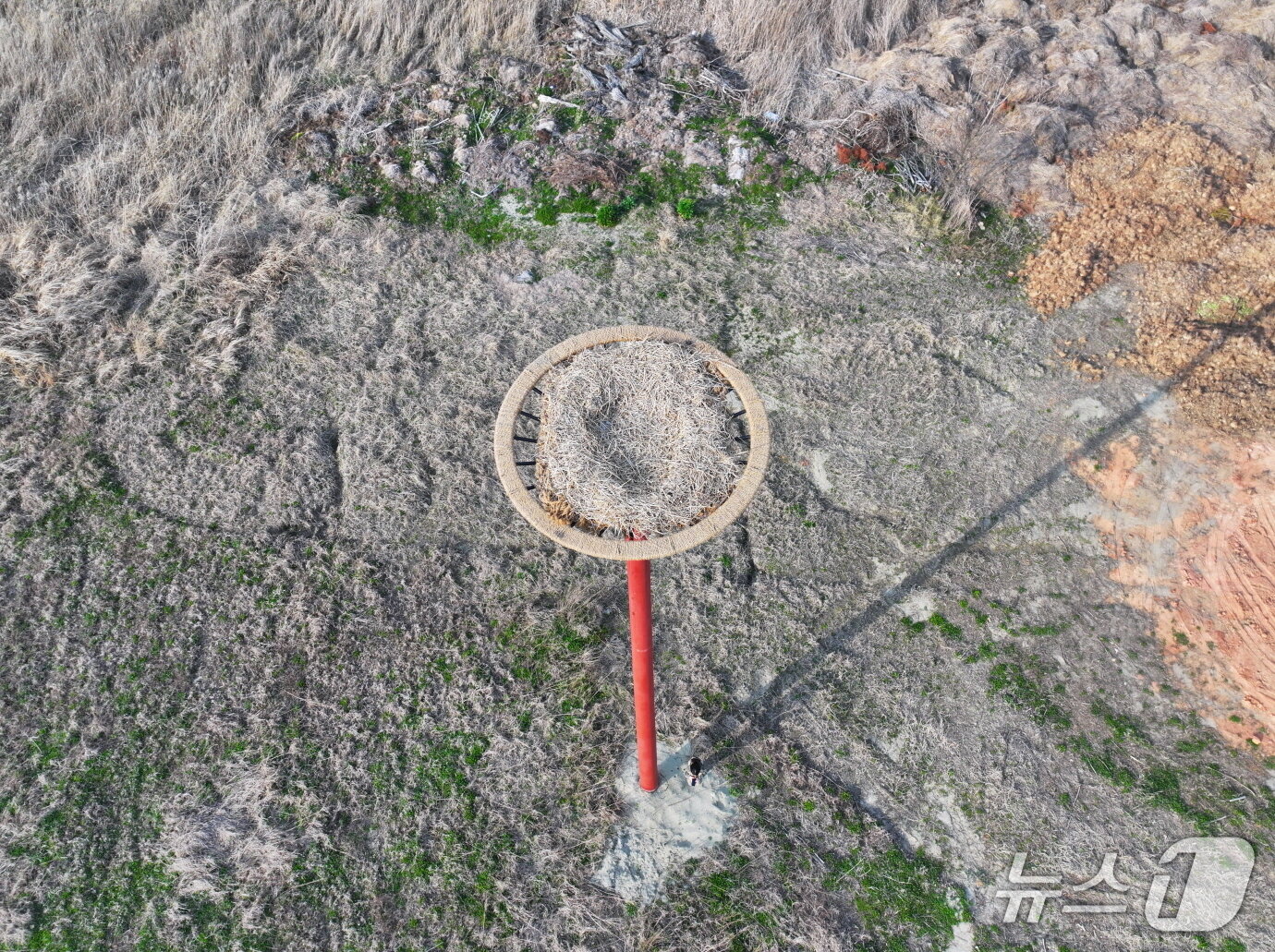 본문 이미지 - 전북 부안 새만금환경생태단지 내에 설치된 인공 둥지탑.(국립공원 새만금환경생태단지관리단 제공. 재판매 및 DB금지)