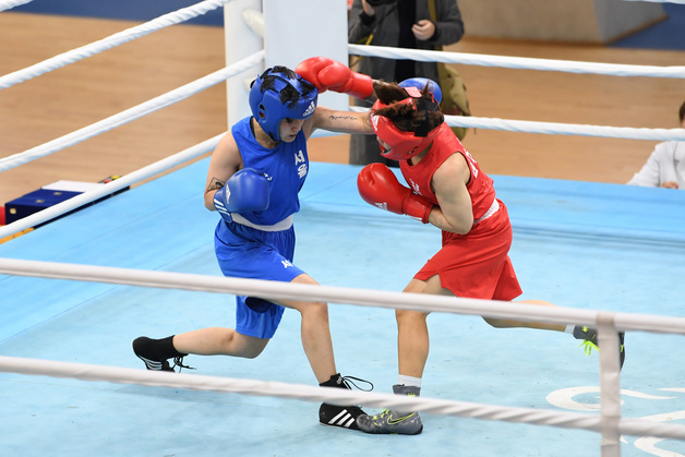 전국복싱선수권대회 14~24일 경북 영주서 개최…700여명 참가