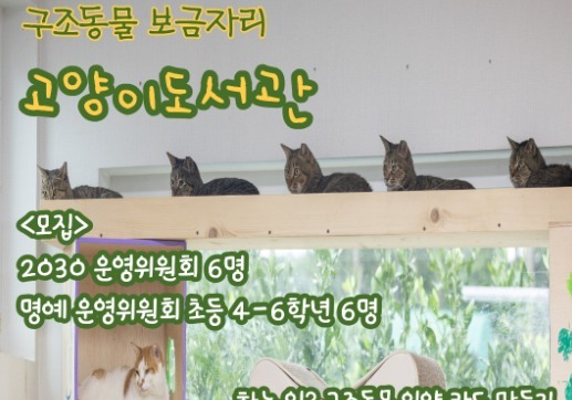 "'고양이도서관' 구조동물 입양 홍보 함께 해요"…2030·어린이 위원회 모집