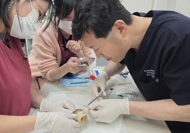 달팽이 진료에 의료진도 '깜짝'…최영민 원장 합류로 달라진 병원