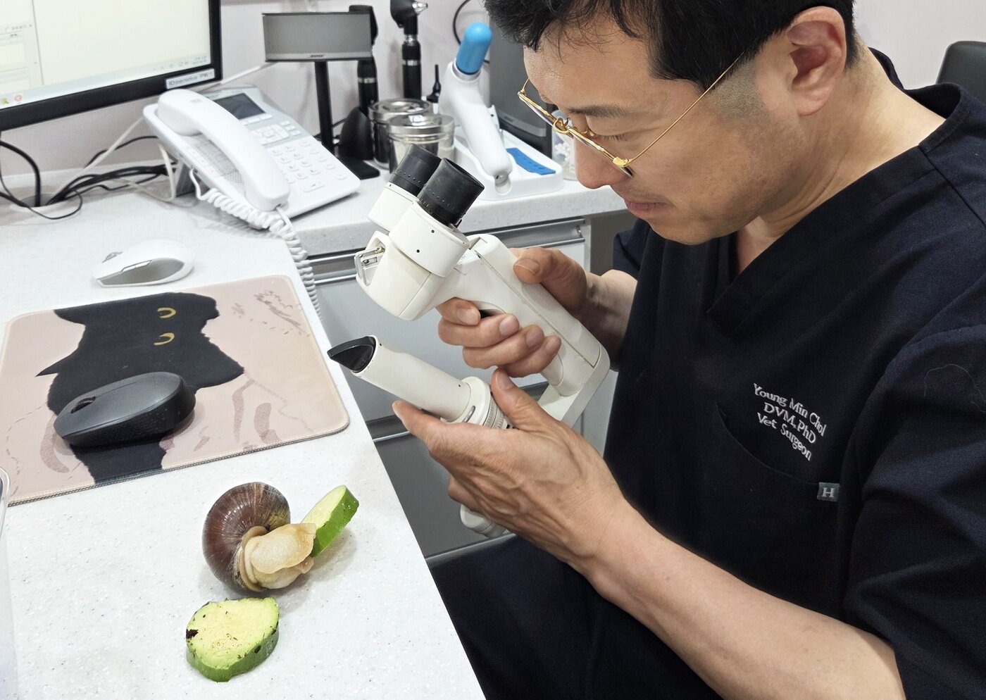 본문 이미지 - 경남 창원에서 서울까지 아프리카 달팽이가 내원하자 진료를 준비하는 최영민 원장 ⓒ 뉴스1 한송아 기자