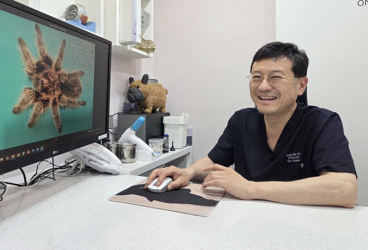 본문 이미지 - 최영민 원장이 타란툴라 진료 경험을 얘기하며 주의사항을 설명하고 있다. ⓒ 뉴스1 한송아 기자