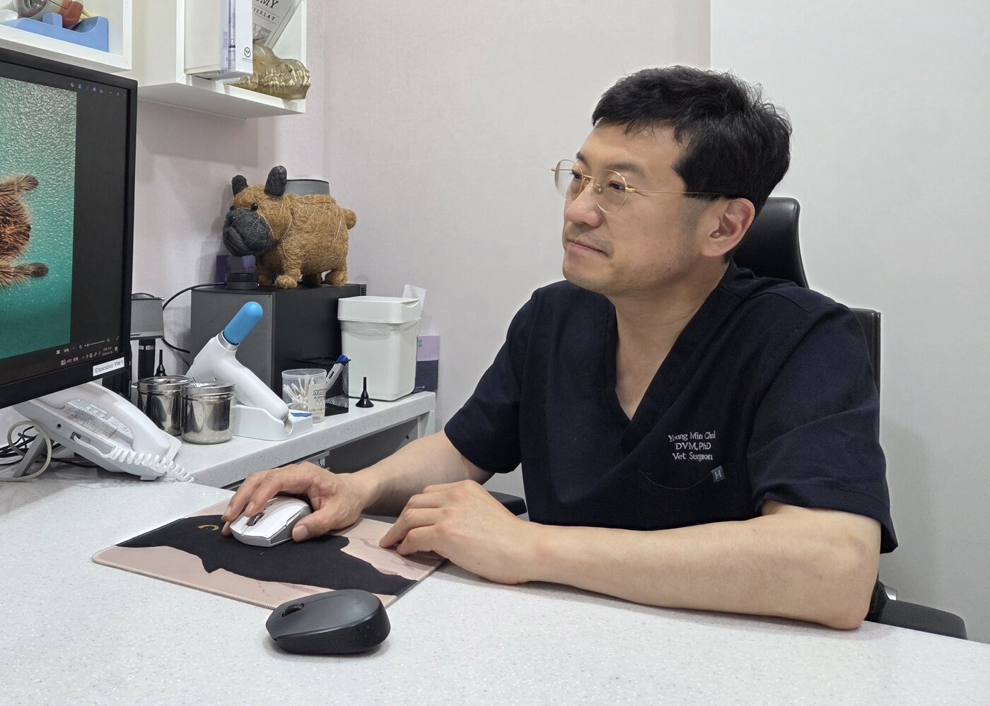 본문 이미지 - 최영민 수의사는 늑대 늑구의 야생 적응 가능성에 '충분히 가능하다'는 의견을 제시했다. ⓒ 뉴스1