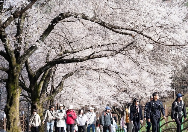 완주 29.1도·남원 28.4도·임실 28.2도…4월인데 여름 더위