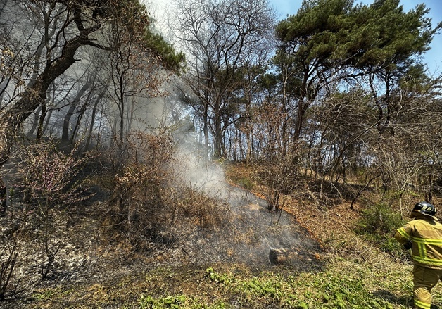 경북 영주 야산 인근 밭에 불…600㎡ 태우고 1시간 만에 진화