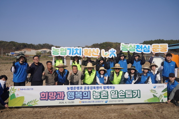 농협은행 강원본부·금감원 강원지원, 춘천서 합동 일손 돕기
