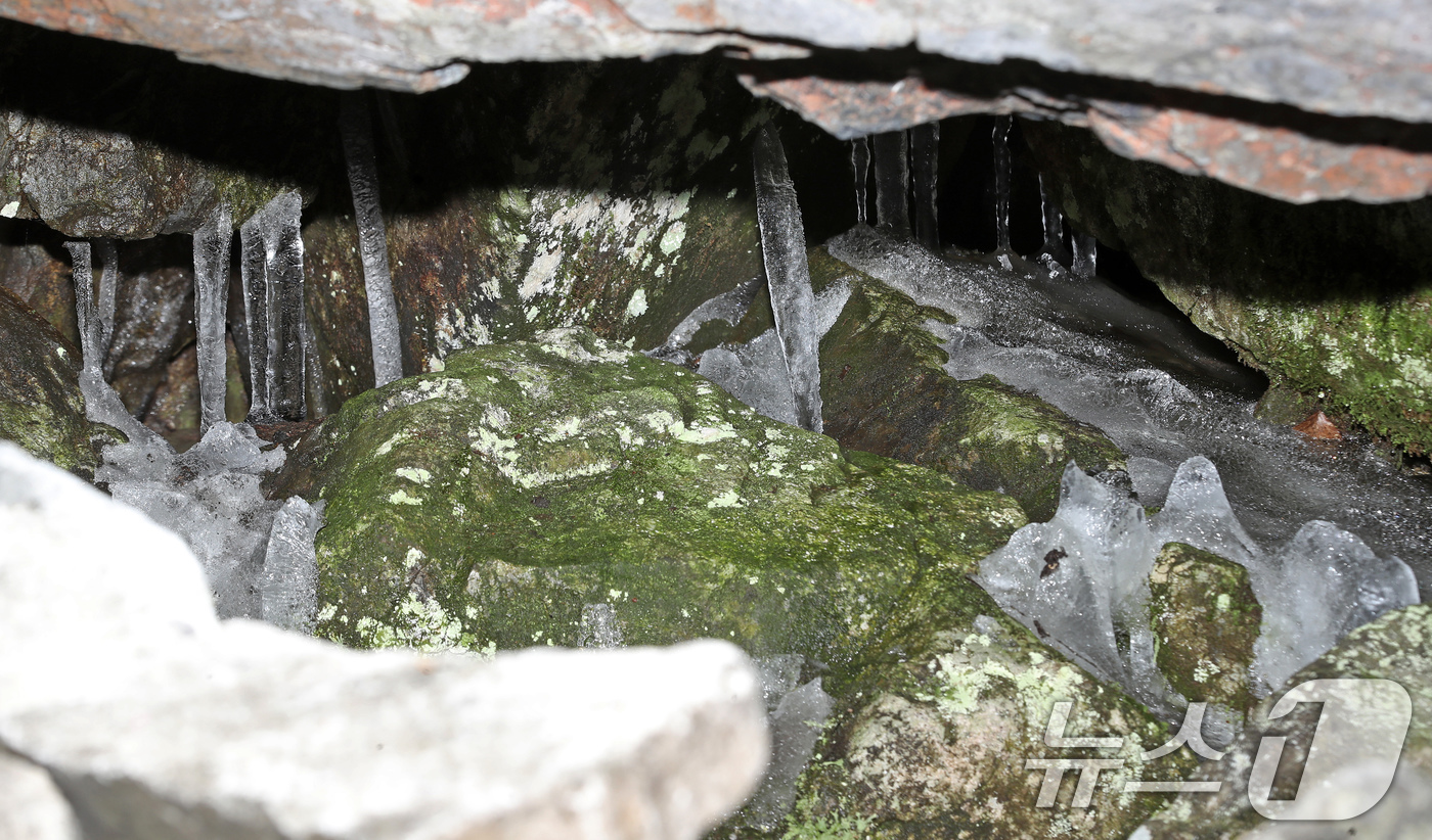 (밀양=뉴스1) 윤일지 기자 = 초여름 날씨를 보인 13일 경남 밀양 산내면 얼음골 결빙지에 얼음이 얼어붙어 있다.'밀양의 신비'로 불리는 천연기념물 224호 얼음골은 봄과 여름철 …