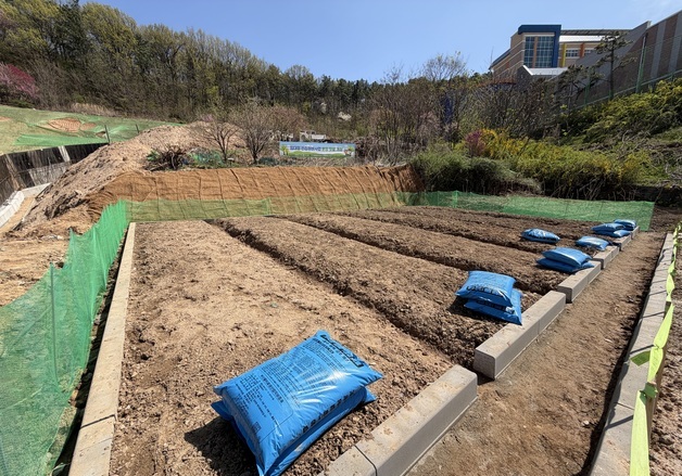 대전 중구, 방치된 빈집을 텃밭으로 무료 분양