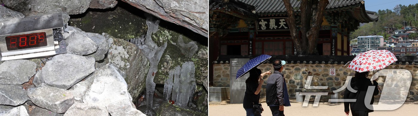 (밀양=뉴스1) 윤일지 기자 = 초여름 날씨를 보인 13일 경남 밀양 산내면 얼음골 결빙지에 얼어붙은 얼음 옆으로 설치된 온도계가 -1도를 나타내고 있다. 오른쪽 사진은 같은날 경 …