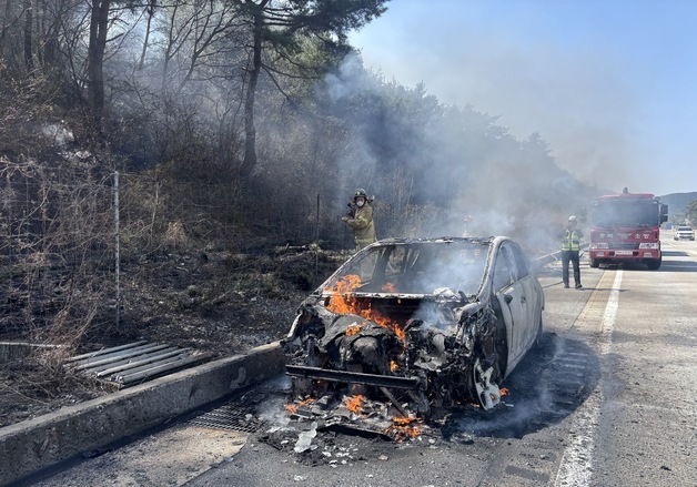 단양서 고속도로 달리던 승용차 불…산으로 번져 0.1㏊ 소실