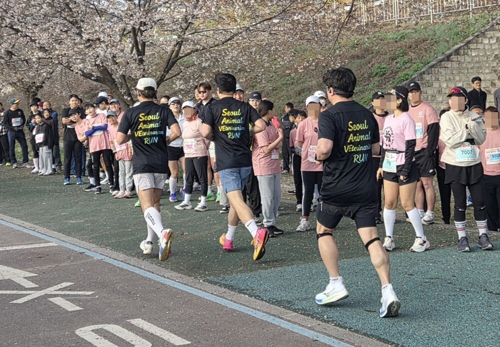 본문 이미지 - 마라톤대회에서 서울시수의사회 회원들이 '세이브런' 단체 티셔츠를 입고 뛰고 있다. ⓒ 뉴스1 한송아 기자