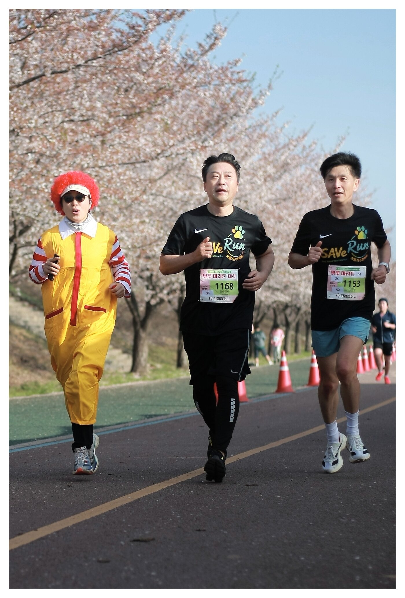 본문 이미지 - 세이브런 마라톤대회에 참가한 서울시수의사회 황정연 회장(가운데)과 이태우 세이브 위원(오른쪽) (서울시수의사회 제공) ⓒ 뉴스1