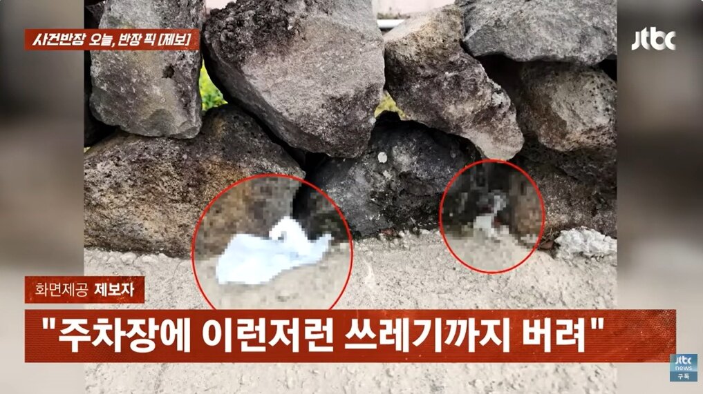 본문 이미지 - (JTBC '사건반장' 갈무리)