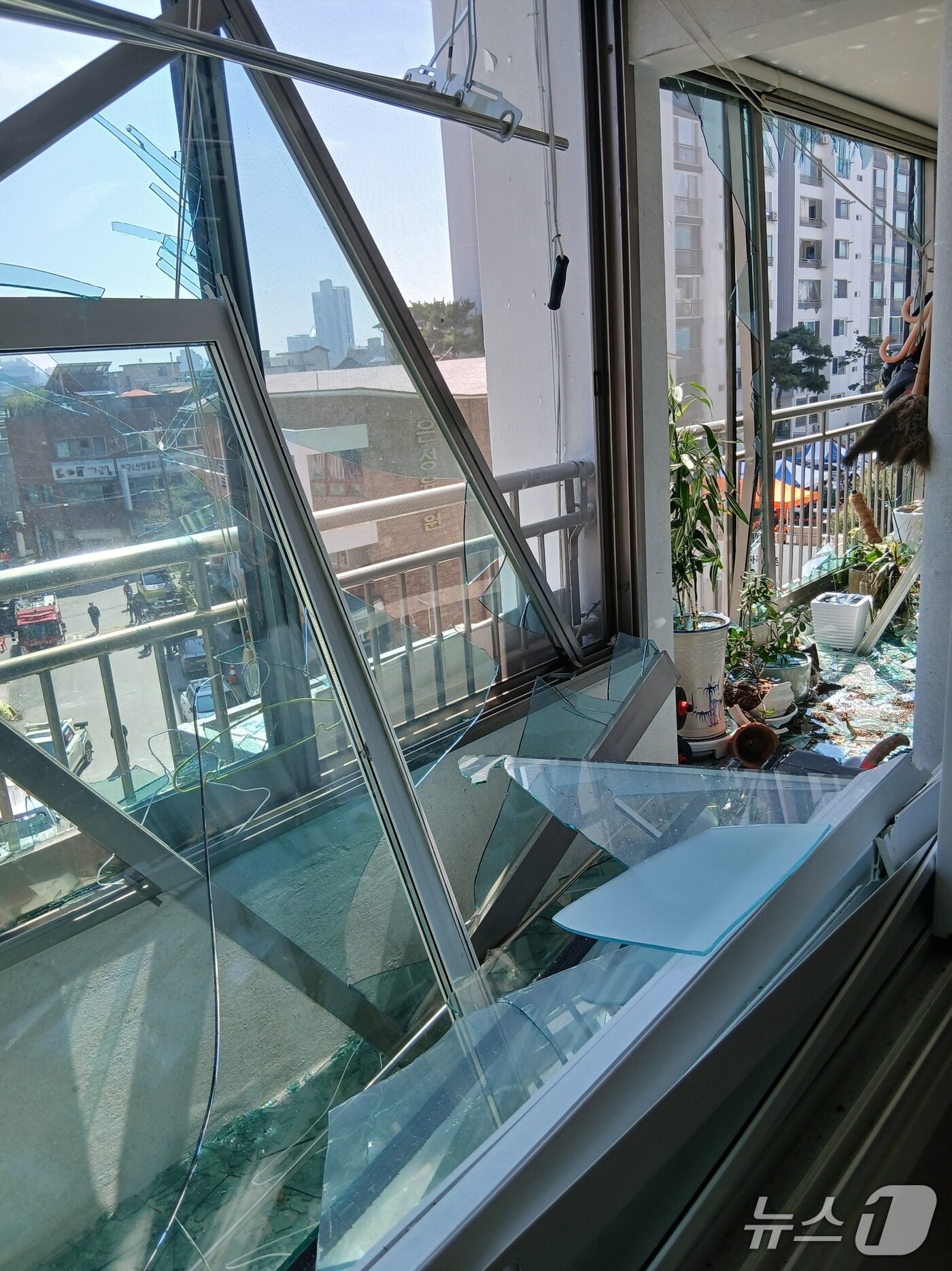 본문 이미지 - 박규보 씨 집 내부의 모습.(박규보 씨 제공. 재판매 및 DB금지)