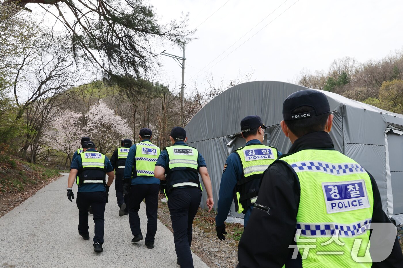 본문 이미지 - 대전 오월드를 탈출한 늑대 '늑구'가 14일 대전 중구 무수동 오도산 일대에서 발견됐으나 포위망을 뚫고 달아나 경찰이 포획을 하기 위해 이동하고 있다. 2026.4.14 ⓒ 뉴스1 김기태 기자