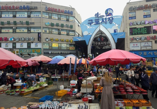 북구갑 나서는 한동훈…민주당 필승 카드 '누구?'