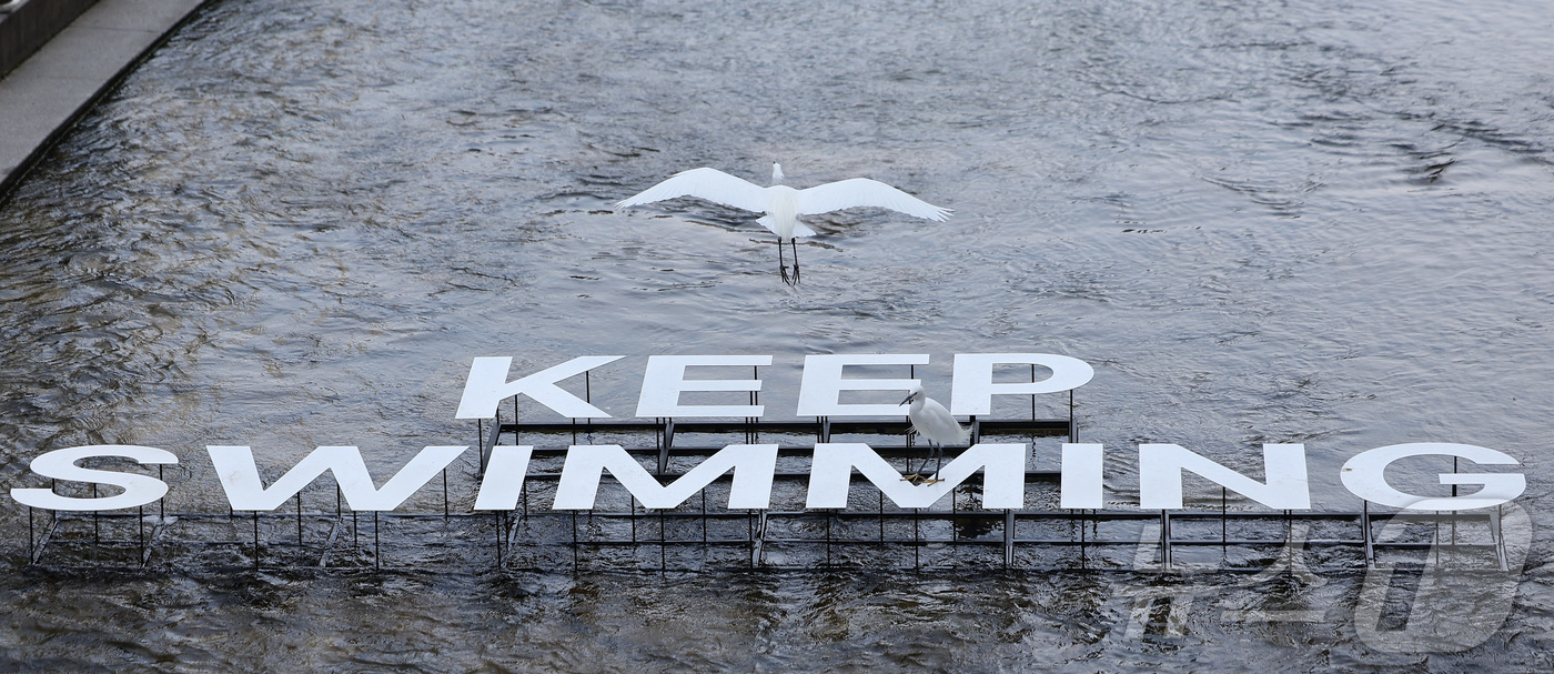 (서울=뉴스1) 김성진 기자 = 서울 낮 최고 기온이 28도까지 오르는 등 초여름 날씨를 보인 14일 서울 중구 청계천에서 왜가리가 비행하고 있다. 2026.4.14/뉴스1