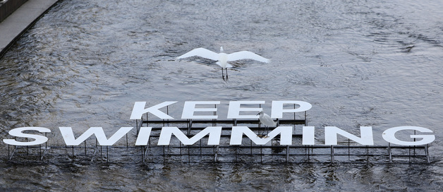 비행하는 왜가리