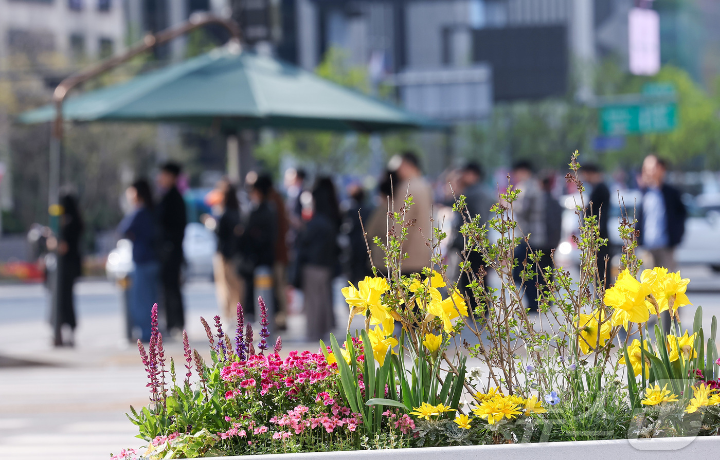(서울=뉴스1) 김성진 기자 = 서울 낮 최고 기온이 28도까지 오르는 등 초여름 날씨를 보인 14일 서울 종로구 광화문광장에서 시민들이 그늘막 아래에서 햇빛을 피하고 있다. 20 …