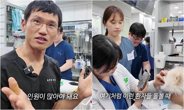 "동물보다 사람이 더 많다"…동물병원 영상에 공감 쏟아진 이유