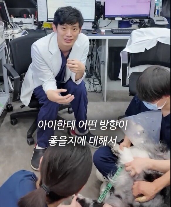 본문 이미지 - 예은동물의료센터 수의사가 최선의 치료방법을 찾기 위한 협진 체계에 대해 설명하고 있다(예은동물의료센터 인스타그램 갈무리). ⓒ 뉴스1