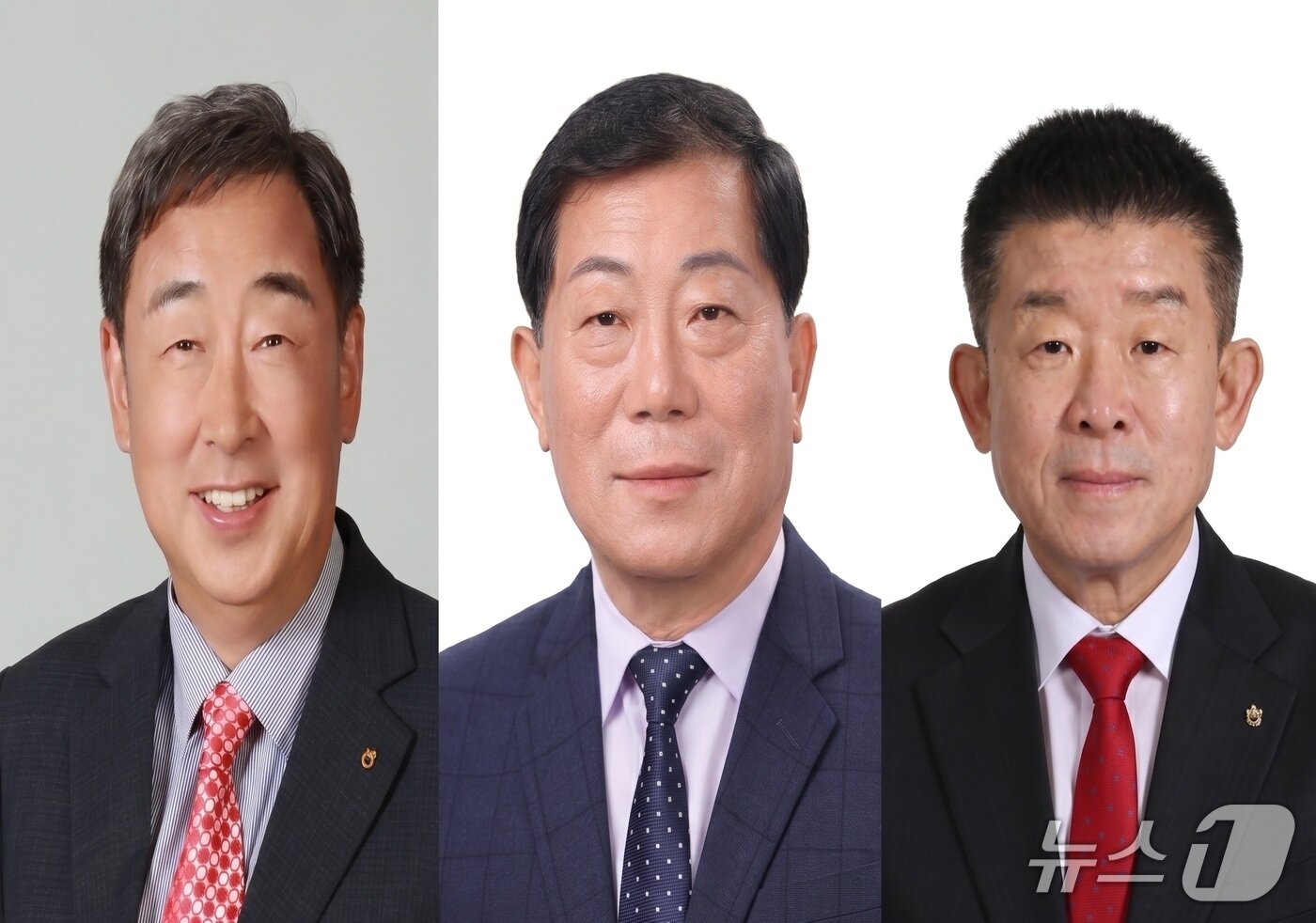 본문 이미지 - 강원지역 농·축협이 '2025 NH농협손해보험 연도대상'에서 대상과 최우수상 등을 수상했다. 사진 왼쪽부터 손재우 임계농협 조합장·김종협 토성농협 조합장·김명규 화천농협 조합장.(농협 강원본부 제공. 재판매 및 DB금지)/뉴스1