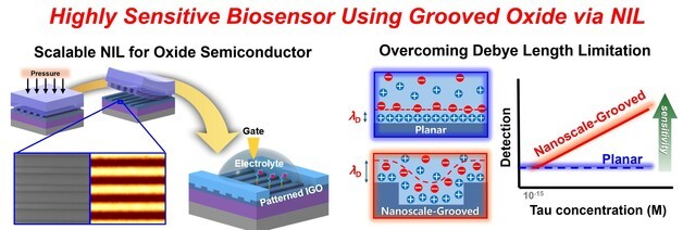 혈액 한 방울로 알츠하이머 조기 진단 길 열렸다…경기대 공동연구 성과