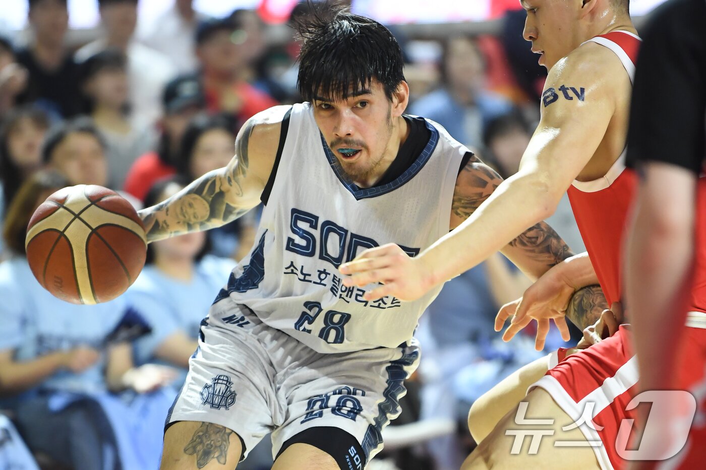본문 이미지 - 소노 스카이거너스 케빈 켐바오가 14일 오후 서울 송파구 잠실학생체육관에서 열린 프로농구 6강 플레이오프 SK나이츠와의 경기에서 돌파하고 있다. (KBL 제공. 재판매 및 DB 금지) 2026.4.14 ⓒ 뉴스1