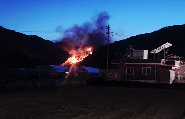 상주 정재수 기념관 인근 야산에 불…1시간여 만에 진화(종합)