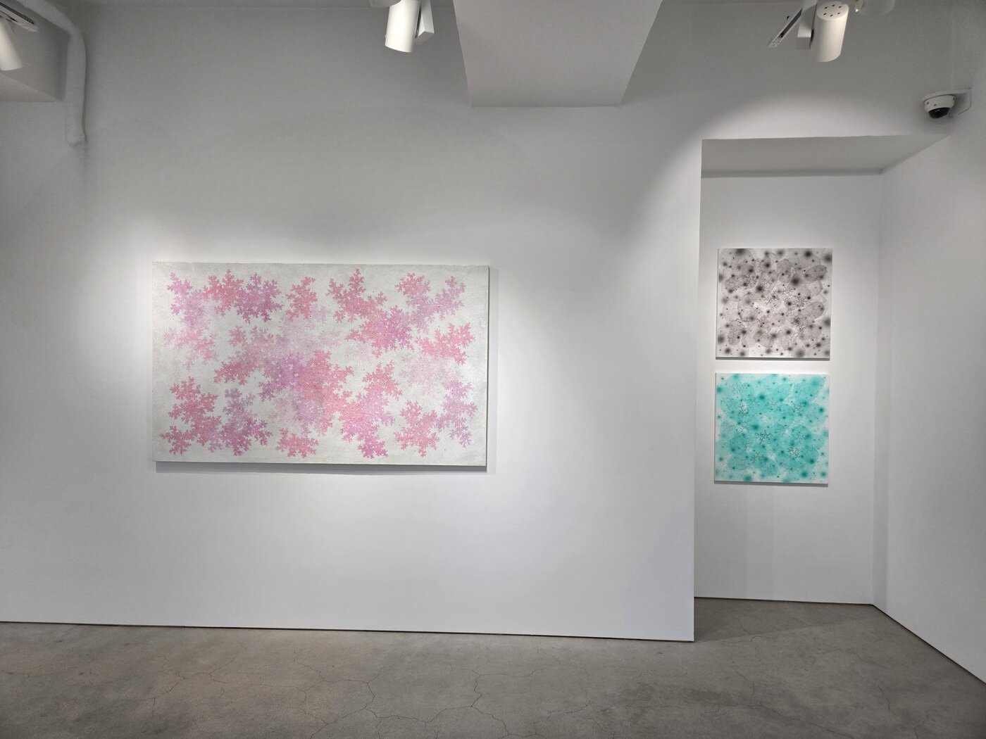 본문 이미지 - 이강욱 '가장 고요하게 빛나는'전 전시 전경 (페이토갤러리 제공)