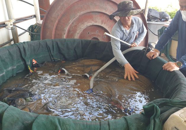 당진시, 고품질 쌀 생산 '볍씨 종자소독' 당부